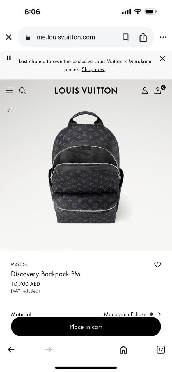 Louis Vuitton Backpack (VIP Quality)