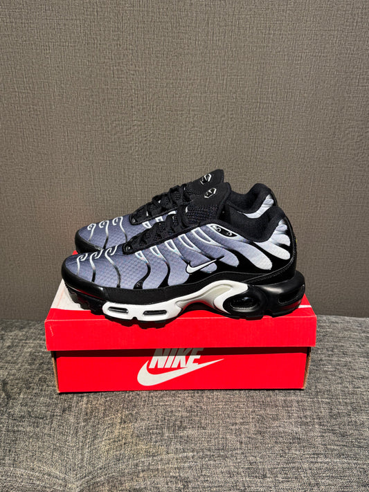 Nike Air Max TN Grey