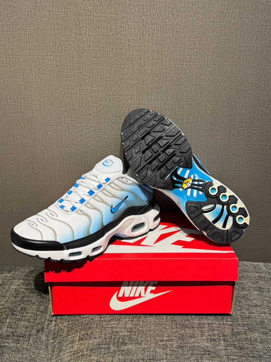 Nike Air Max TN Blue