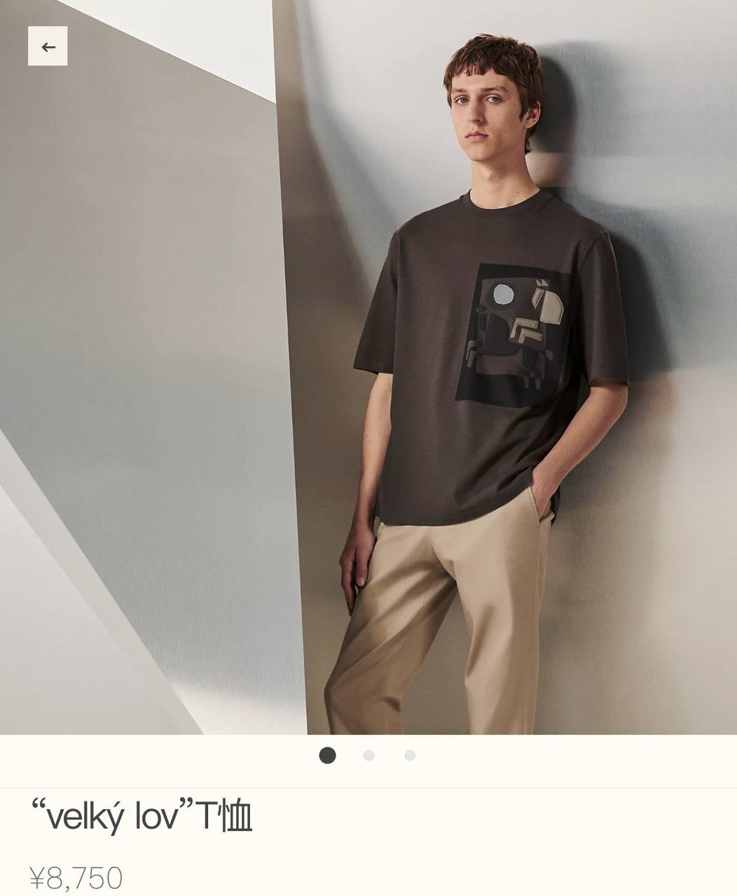 HERMES T-Shirts