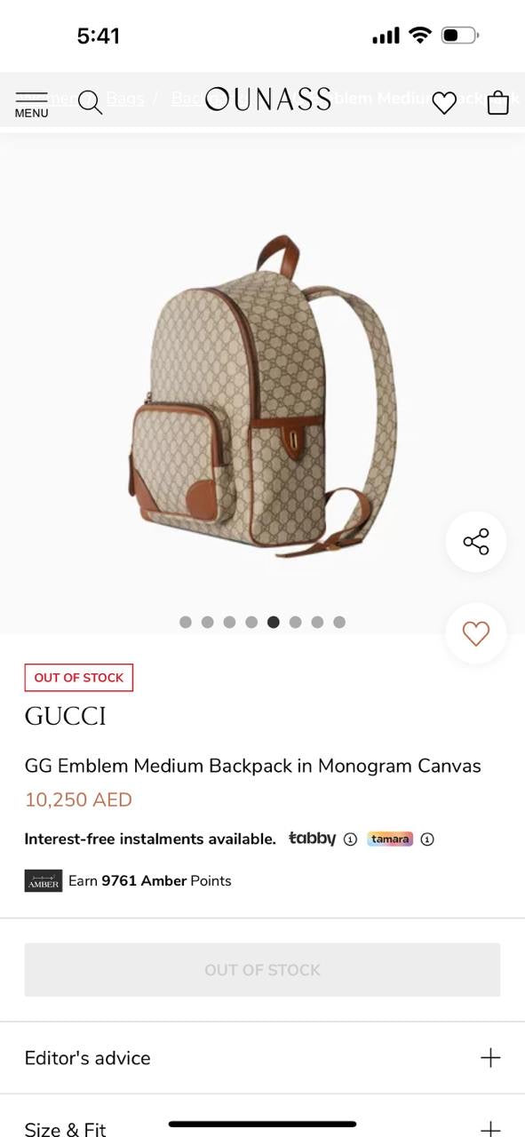 Gucci Backpack (VIP Quality)