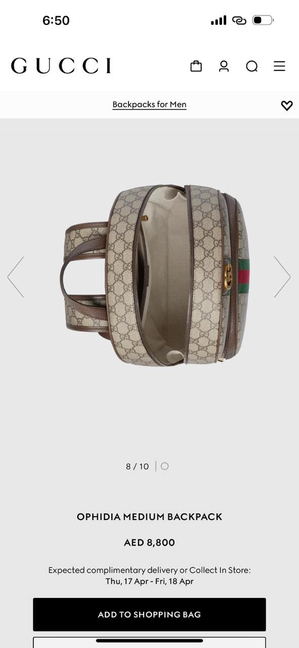 Gucci Backpack (VIP Quality)