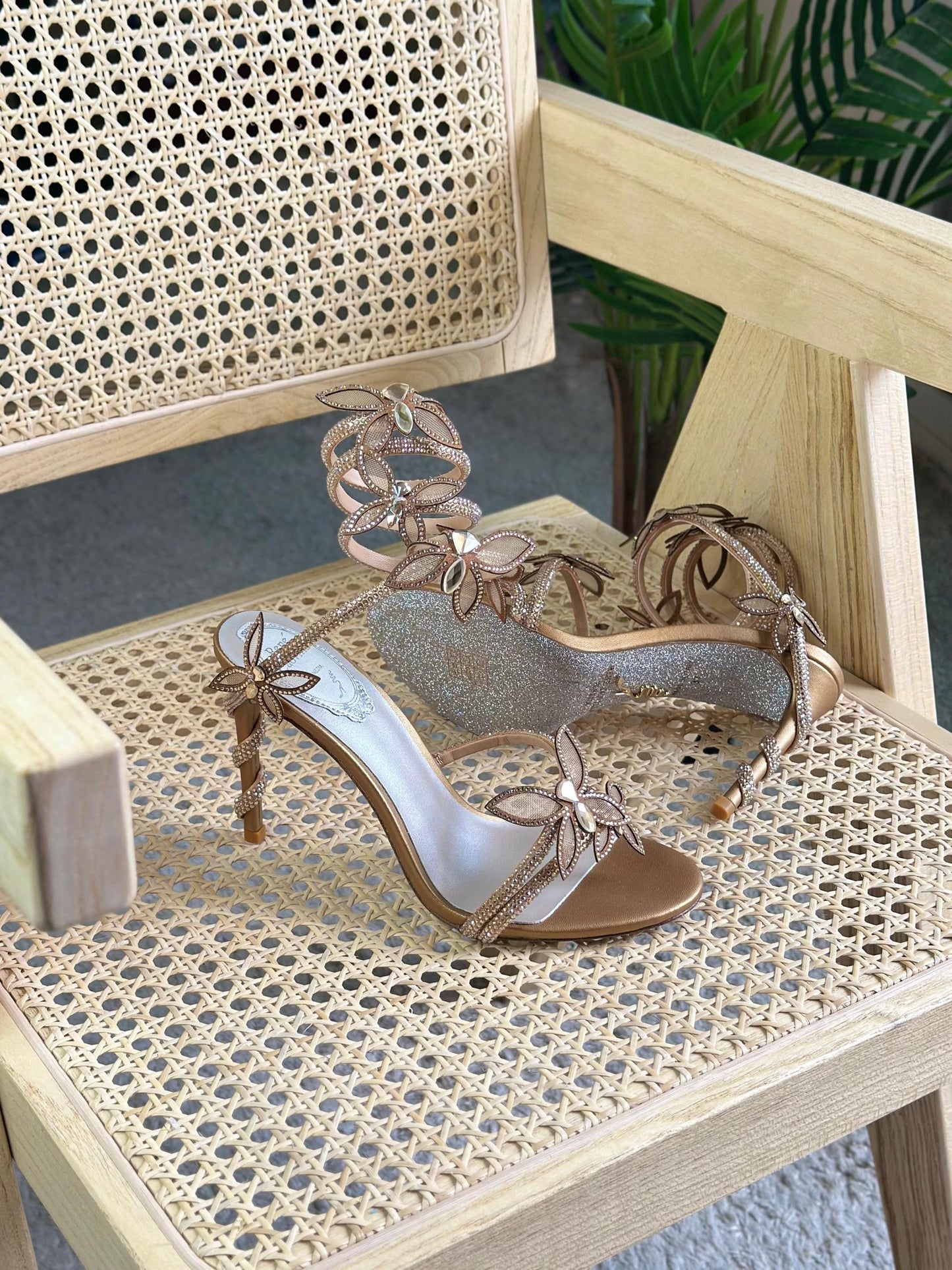 Rene Caovilla Heels