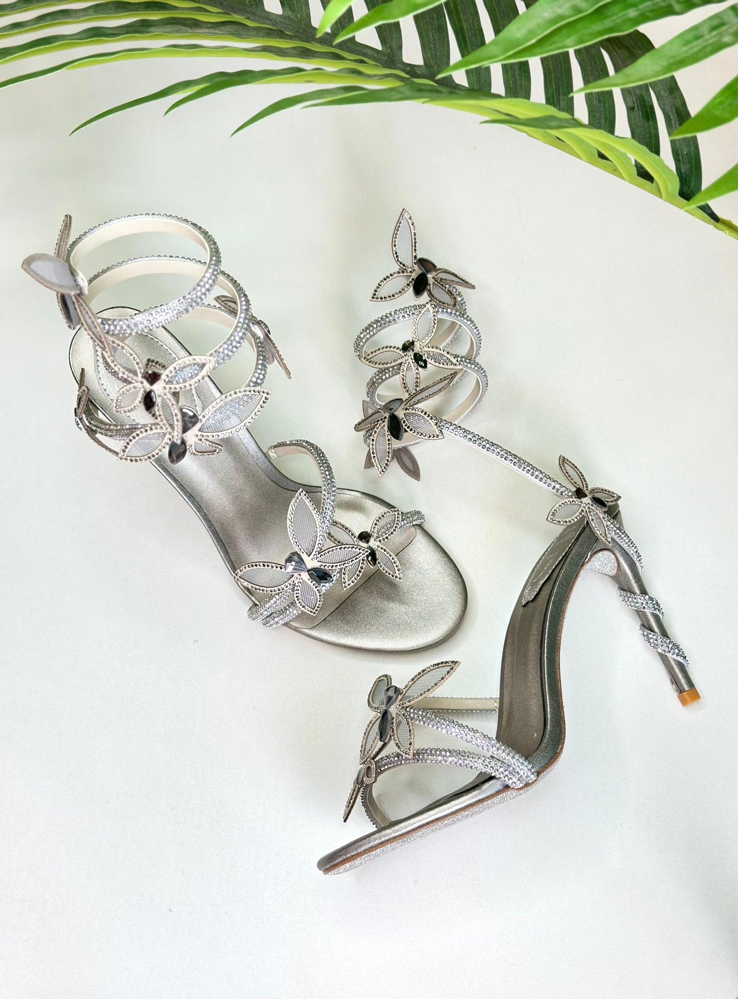 Rene Caovilla Heels