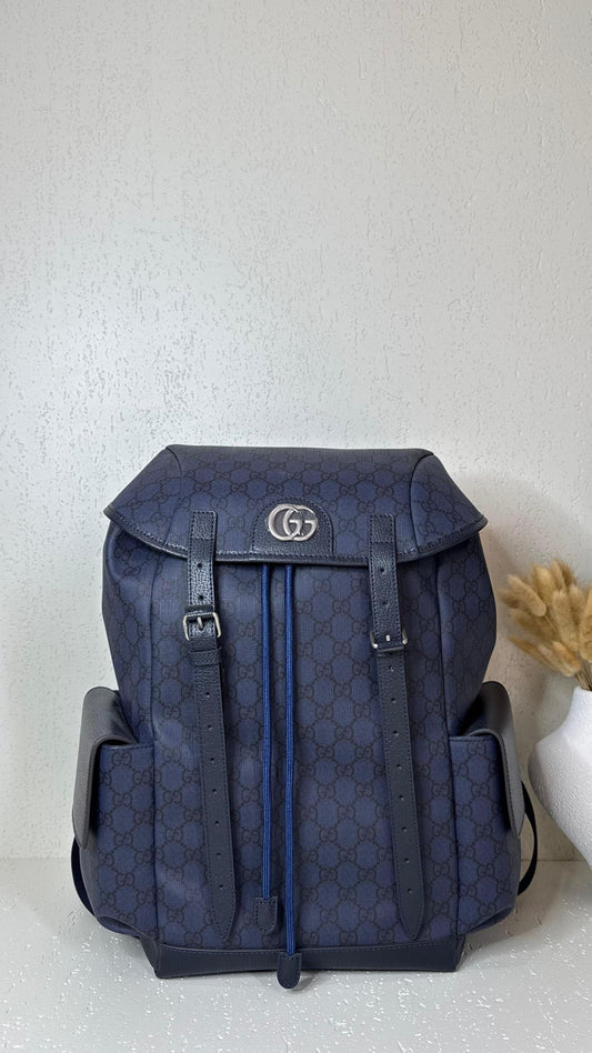 Gucci Backpack (VIP Quality)