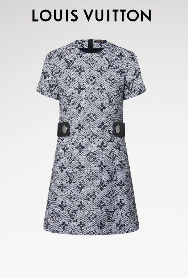Louis Vuitton Dress