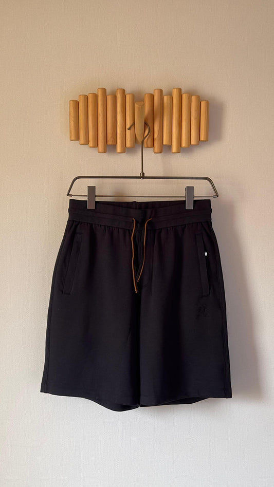 Loro Piana Swimming Short 2 colors