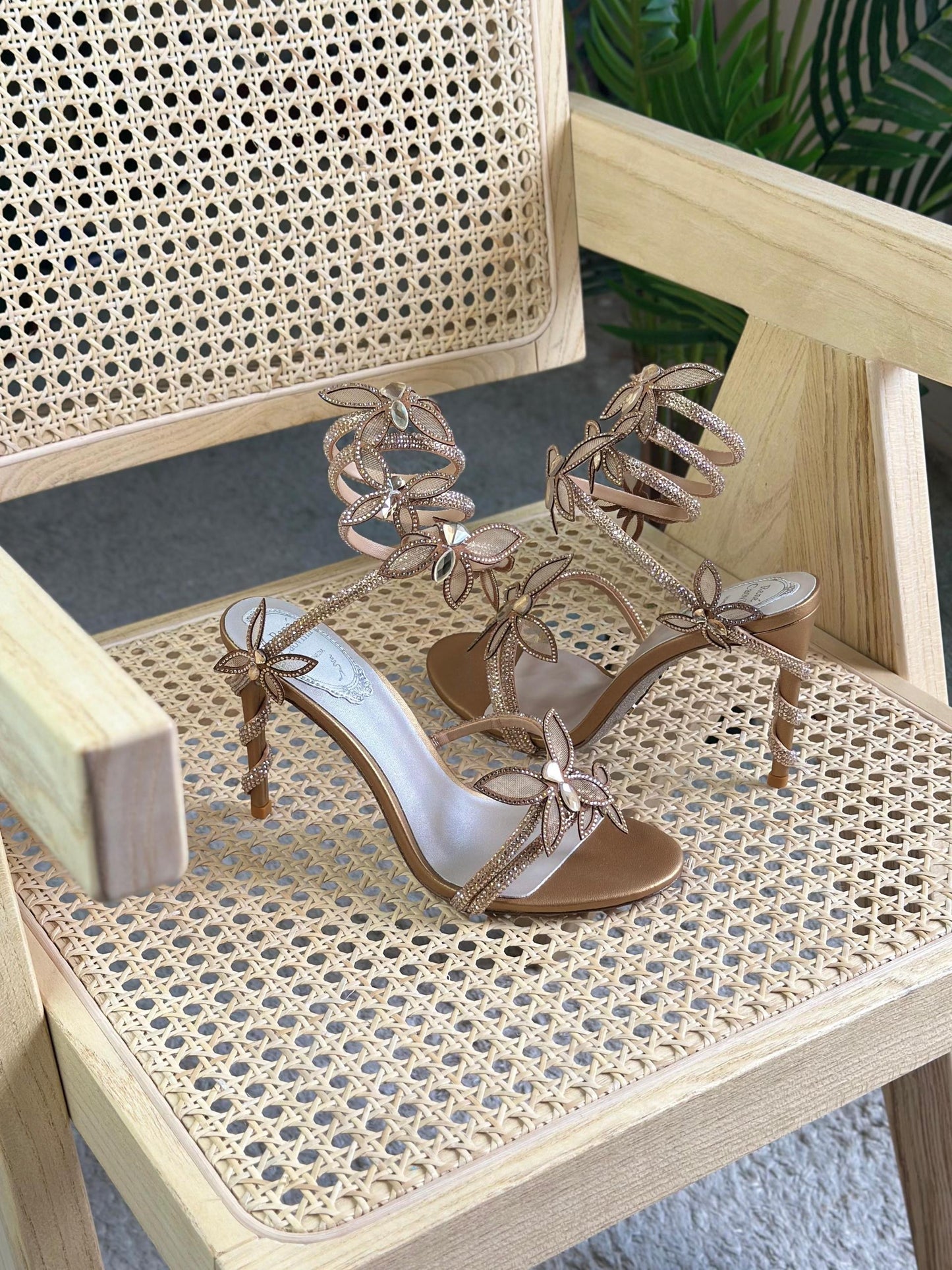 Rene Caovilla Heels