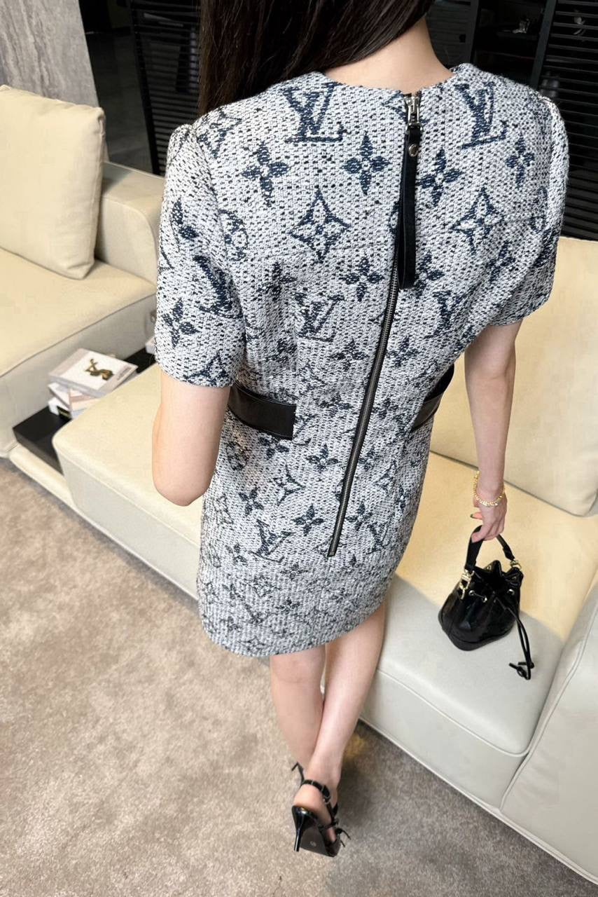 Louis Vuitton Dress
