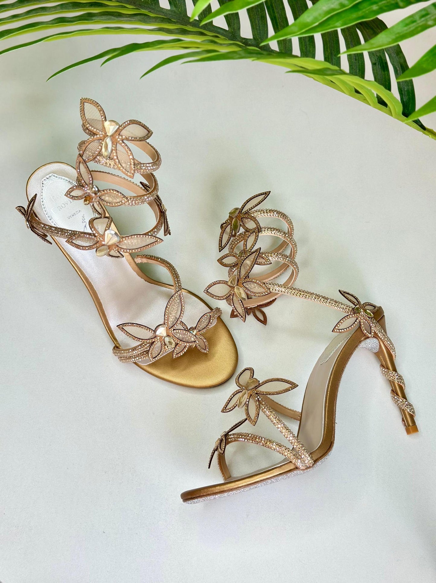 Rene Caovilla Heels