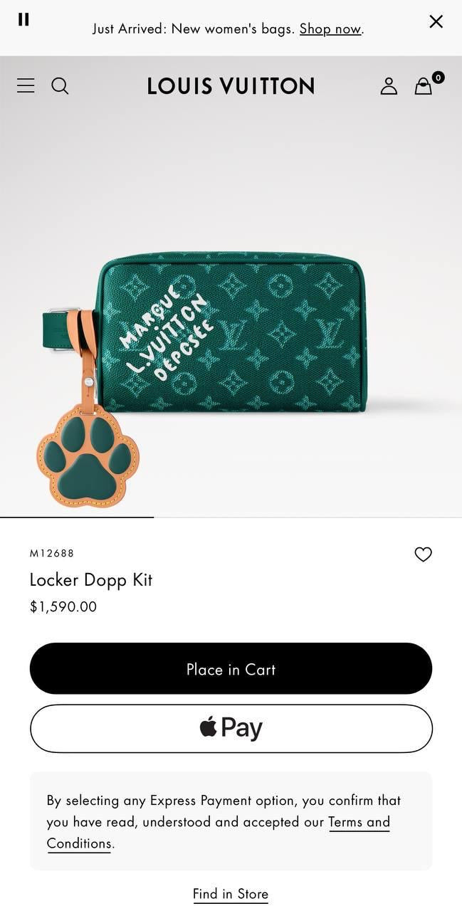 Louis Vuitton Pouch (VIP Quality)