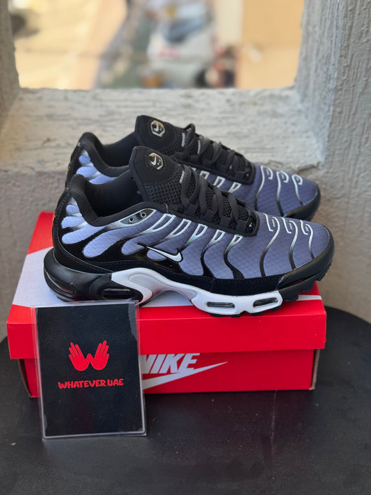 Nike Air Max TN Grey White