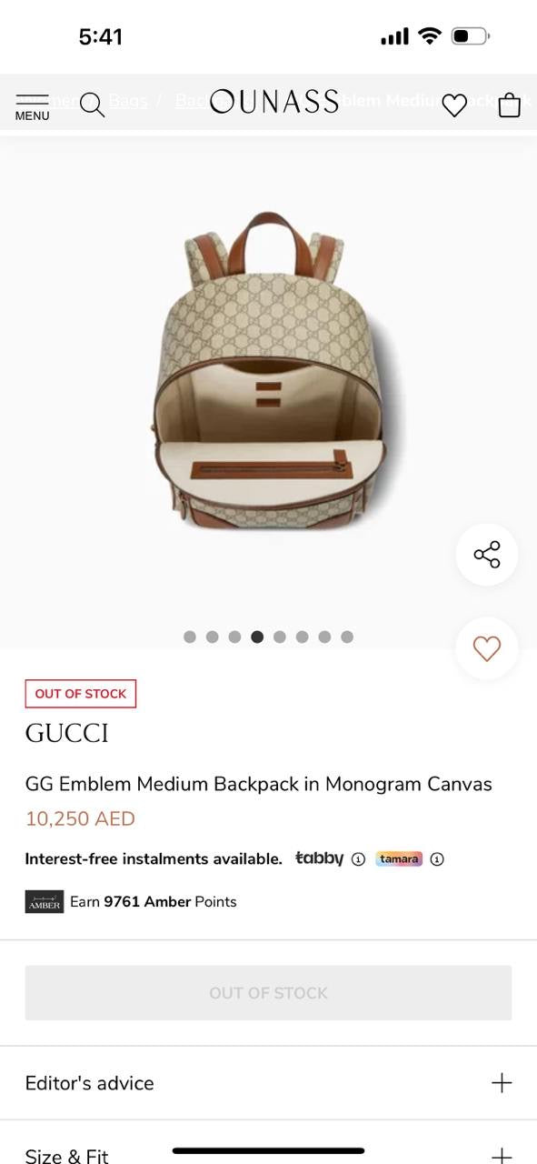 Gucci Backpack (VIP Quality)