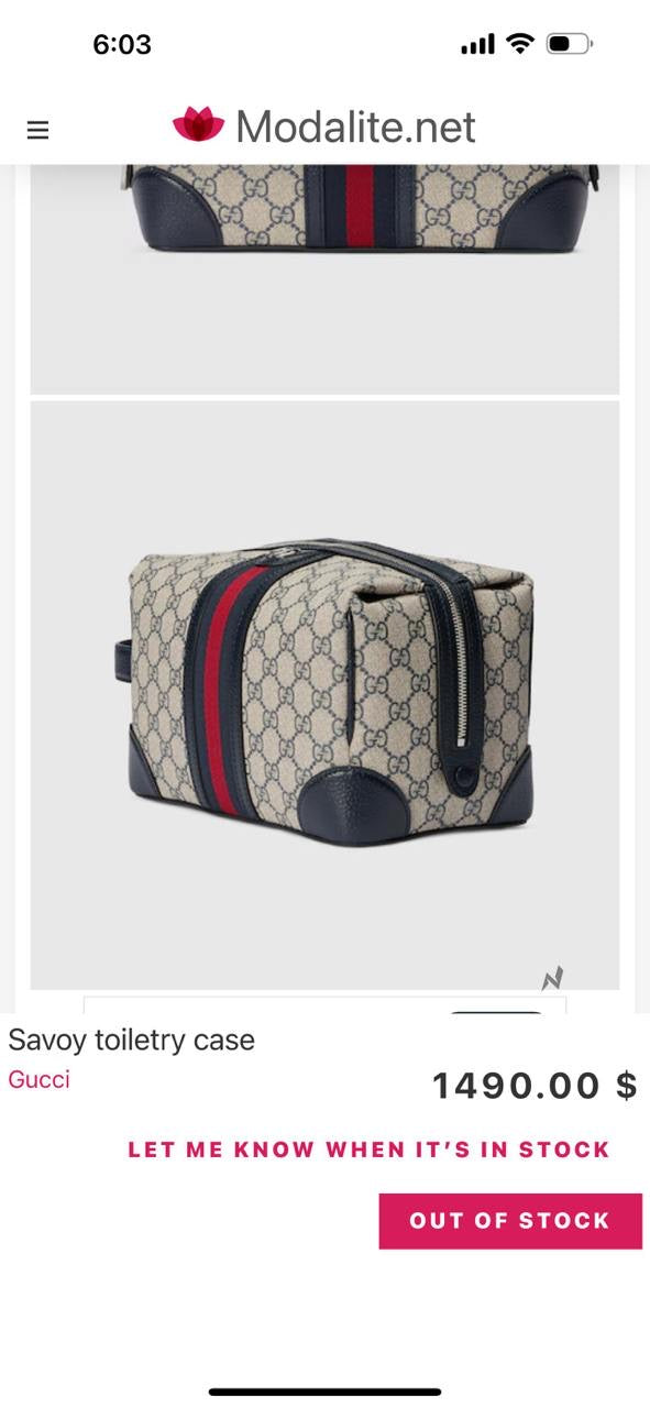 Gucci Pouch (VIP Quality) 2 colors
