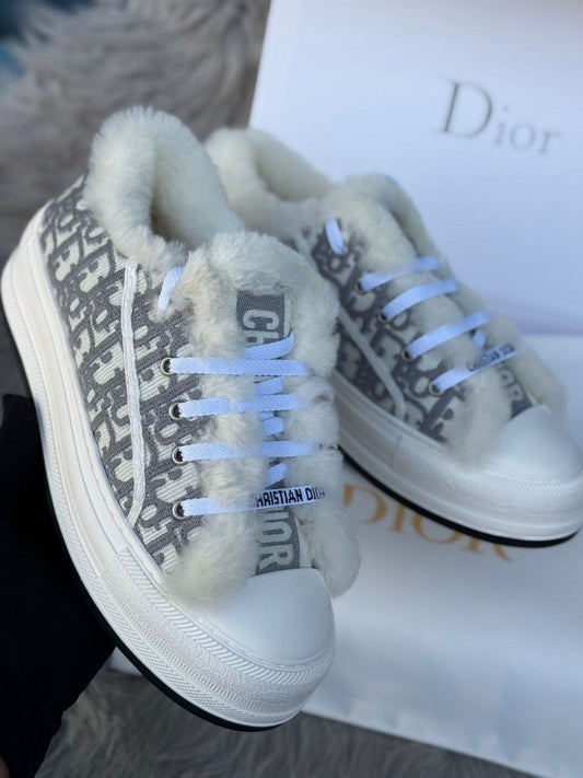 Dior Shoes