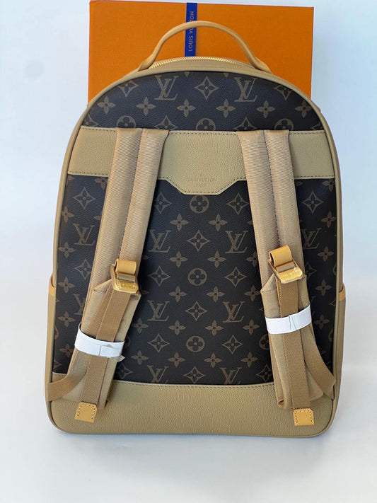 Louis Vuitton Backpack (VIP Quality)