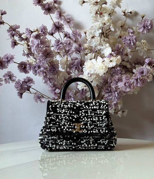 Chanel Handbag (Vip)
