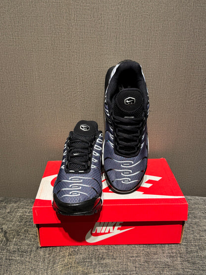 Nike Air Max TN Grey