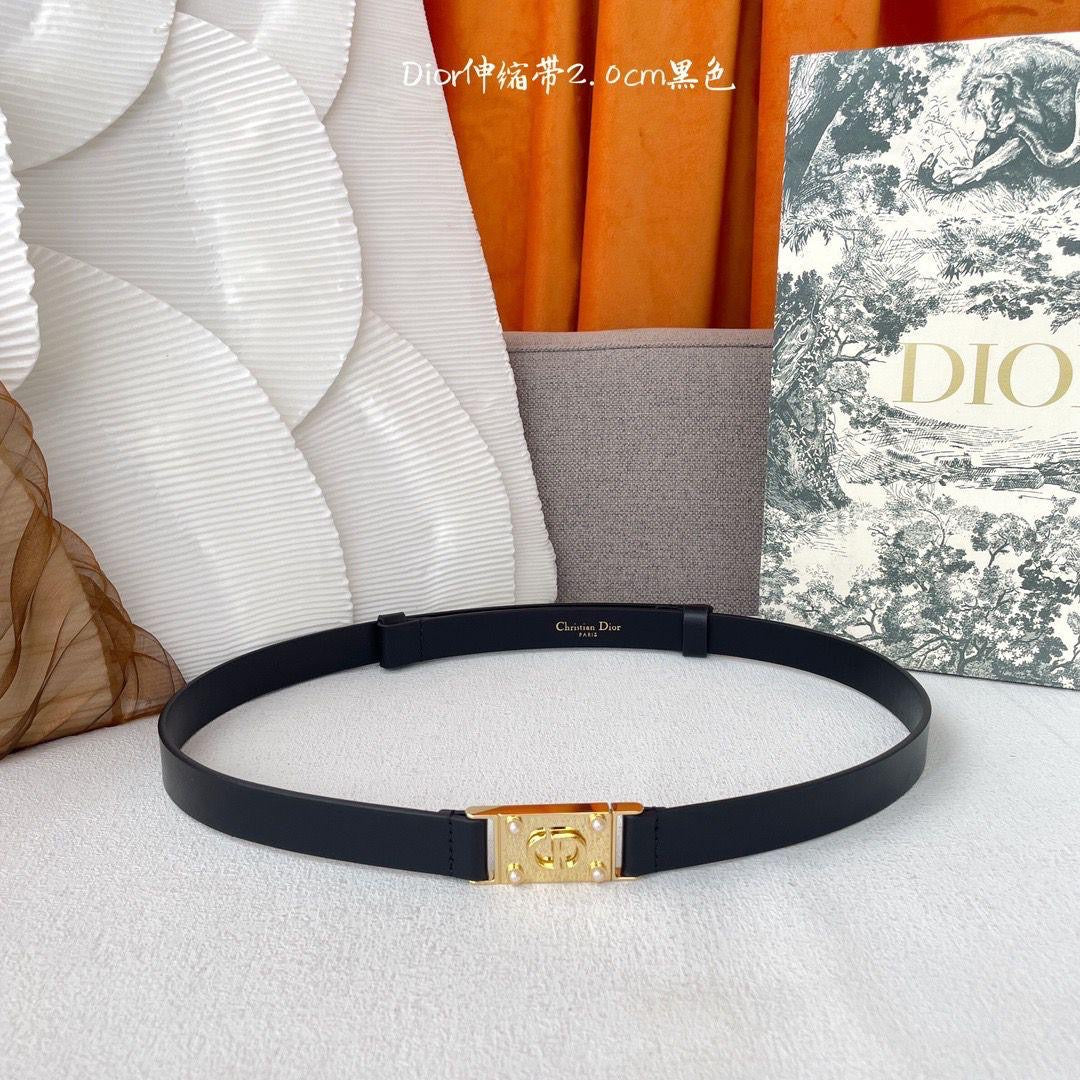 Dior Belts 4 colors