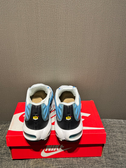 Nike Air Max TN Blue