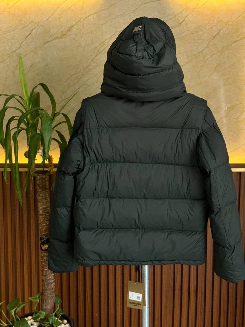 Burberry Jacket