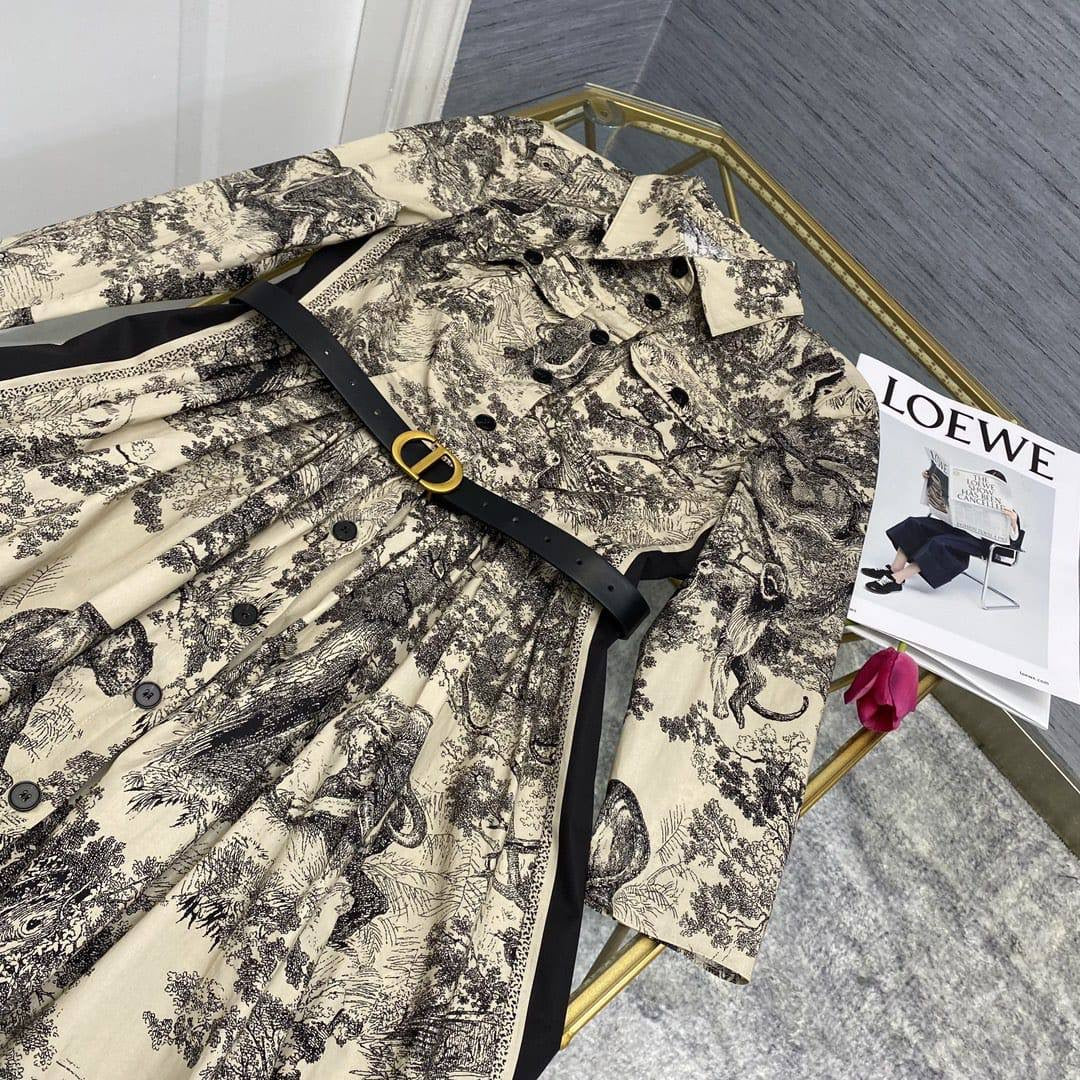 Dior Dress