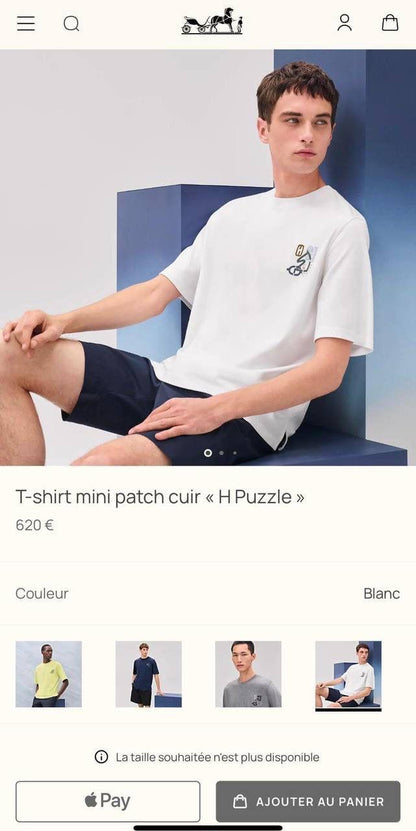 Hermes T-Shirt 4 colors