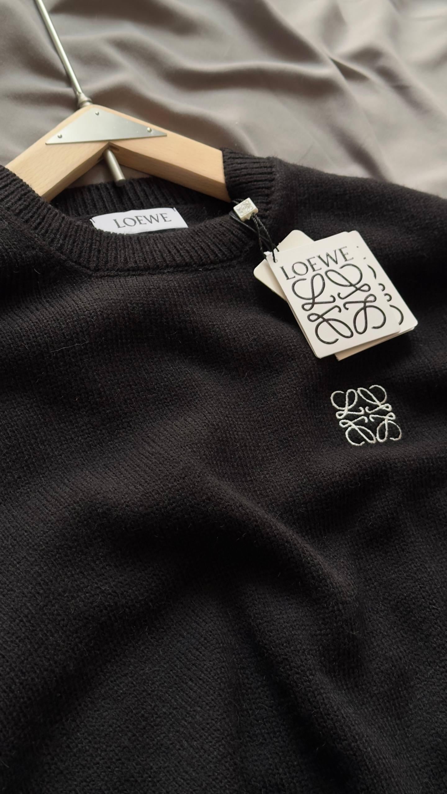 Loewe Sweaters