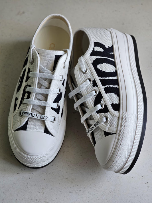 Dior sneakers