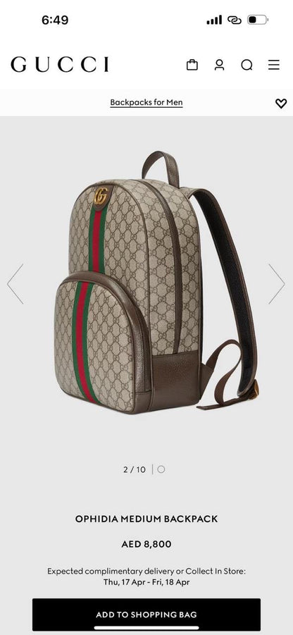 Gucci Backpack (VIP Quality)