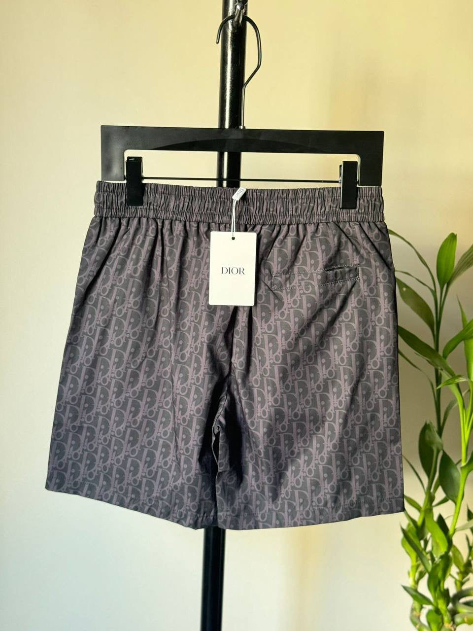 Dior Swimming Short 2 colors