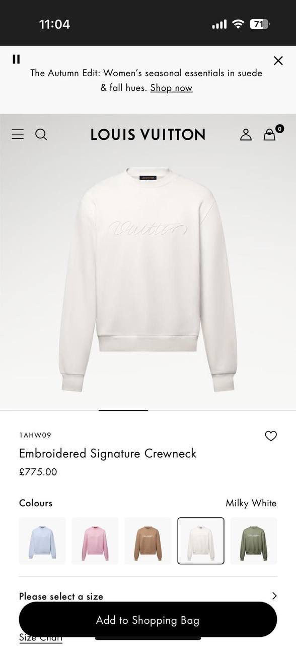 Louis Vuitton Sweatshirt