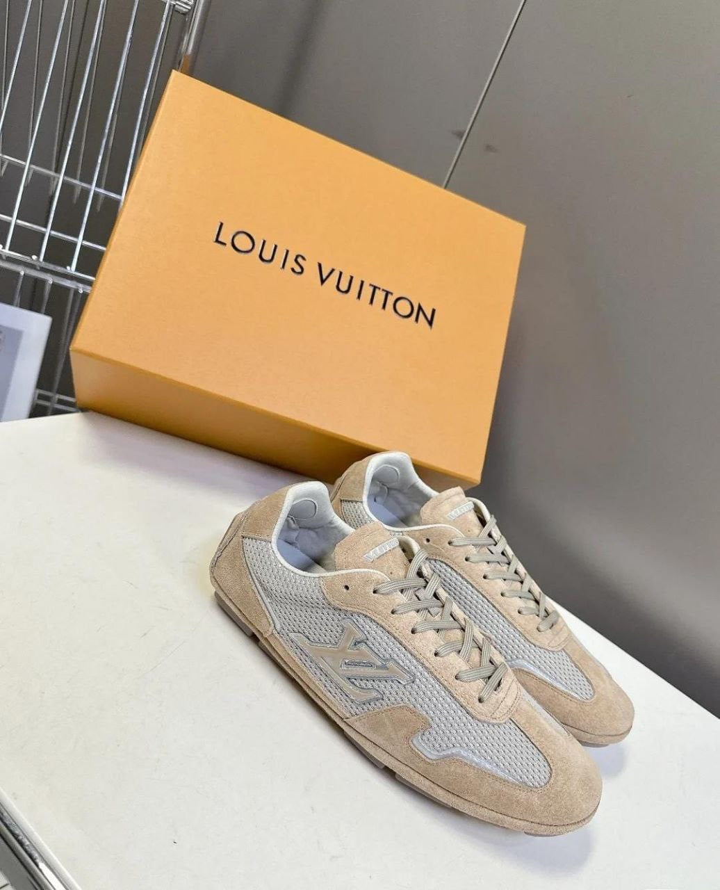 Louis Vuitton Shoes