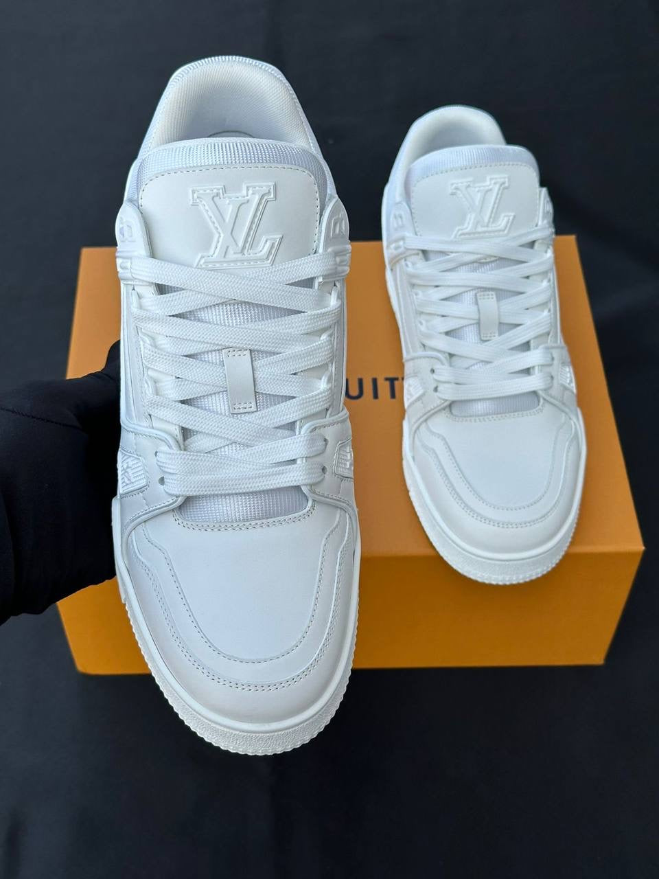 Louis Vuitton Sneakers