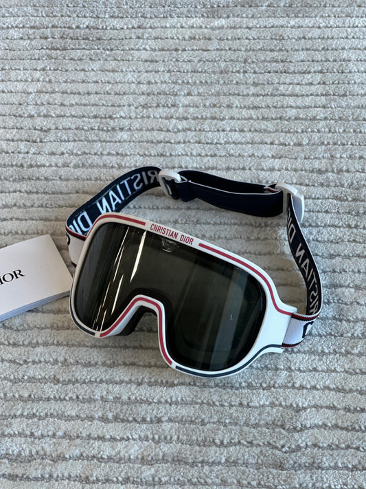 Louis Vuitton Ski Goggles