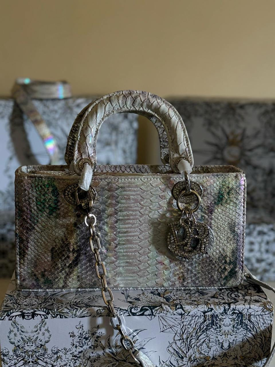 Dior Sling Bag