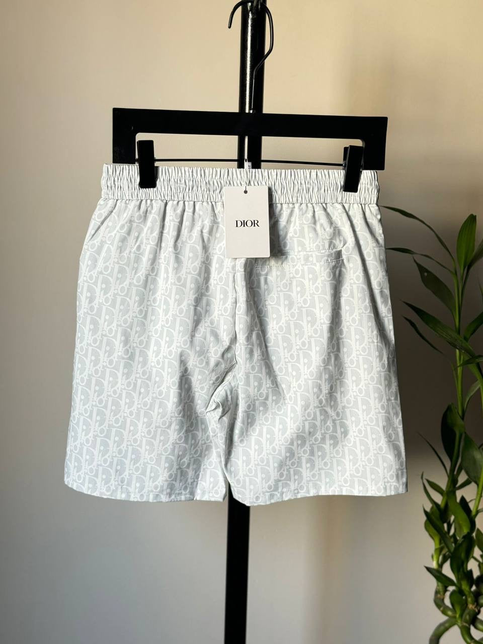 Dior Swimming Short 2 colors