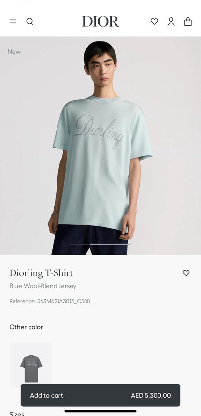 Dior T-Shirt
