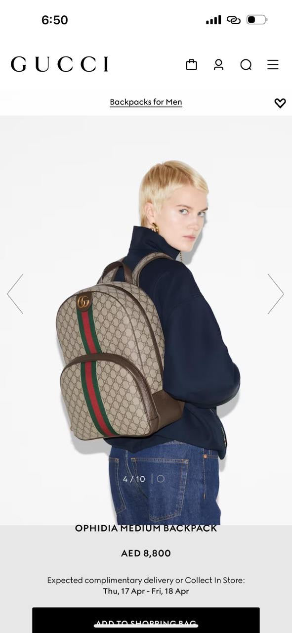 Gucci Backpack (VIP Quality)