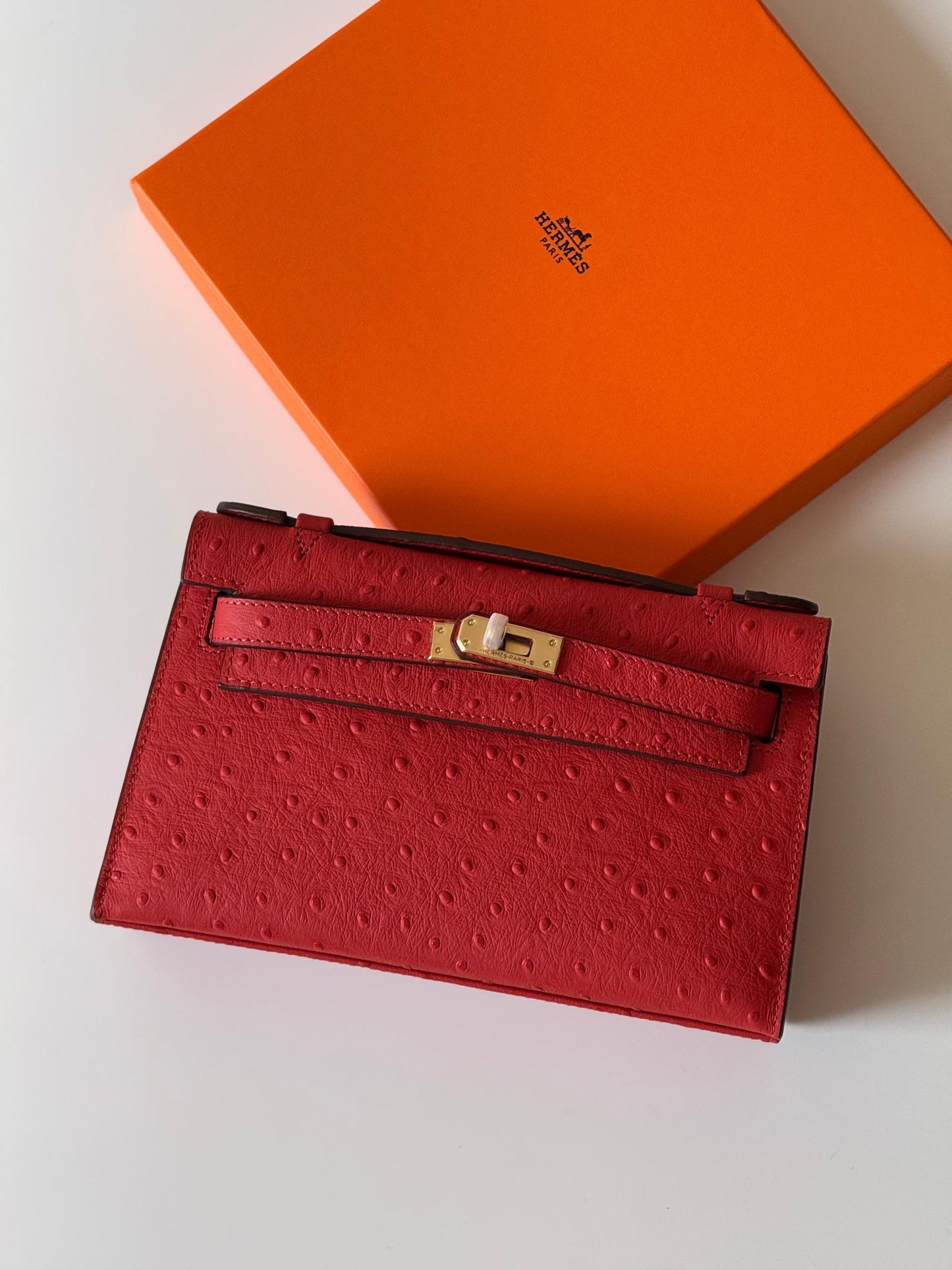Hermes Pochette HandBag