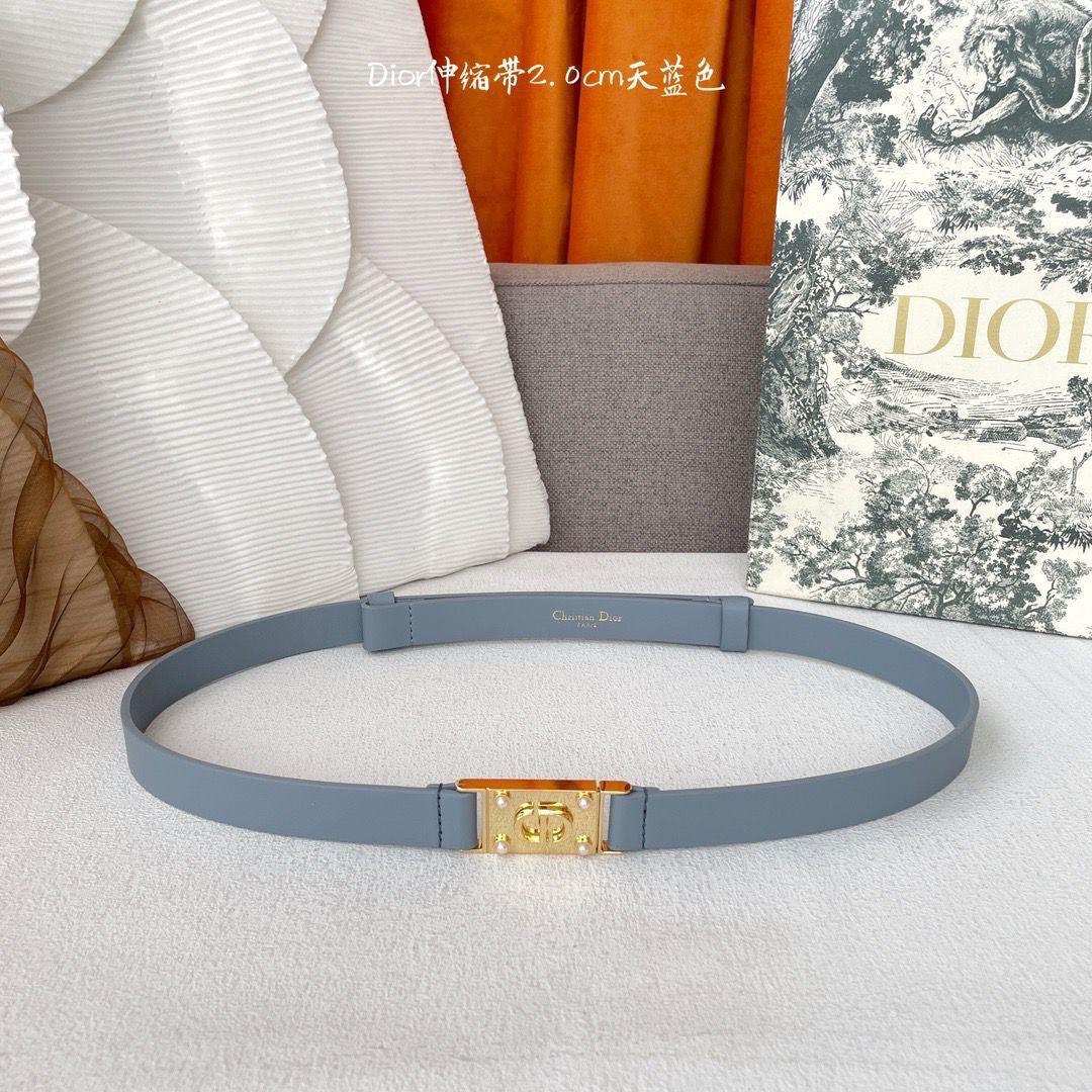 Dior Belts 4 colors