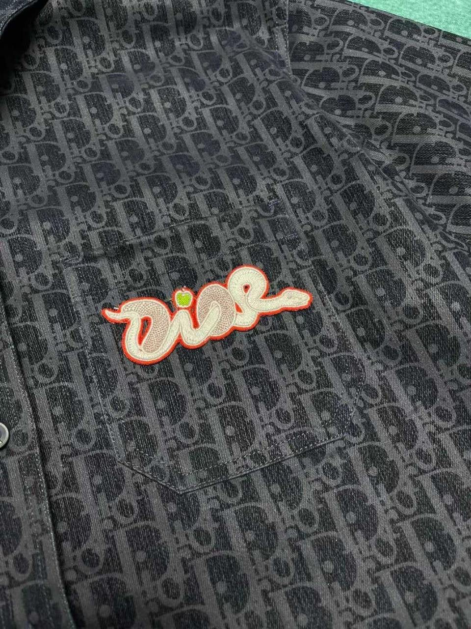 Dior x Kaws Shirt