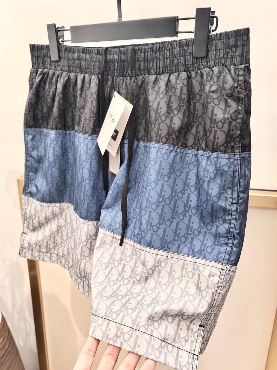 Dior Swimming Shorts