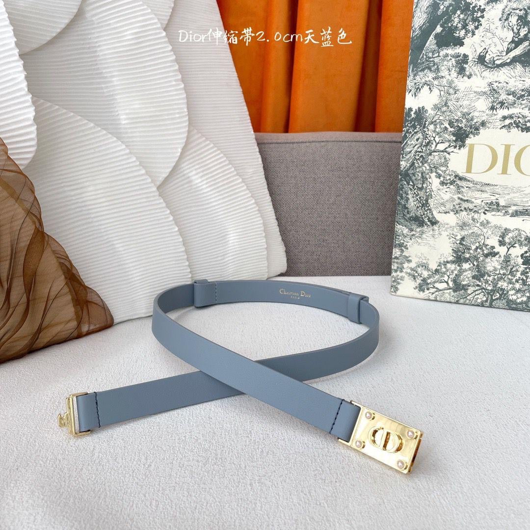 Dior Belts 4 colors