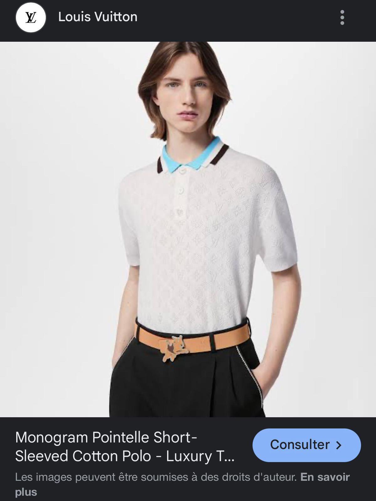 Louis Vuitton Polo Shirt 2 colors