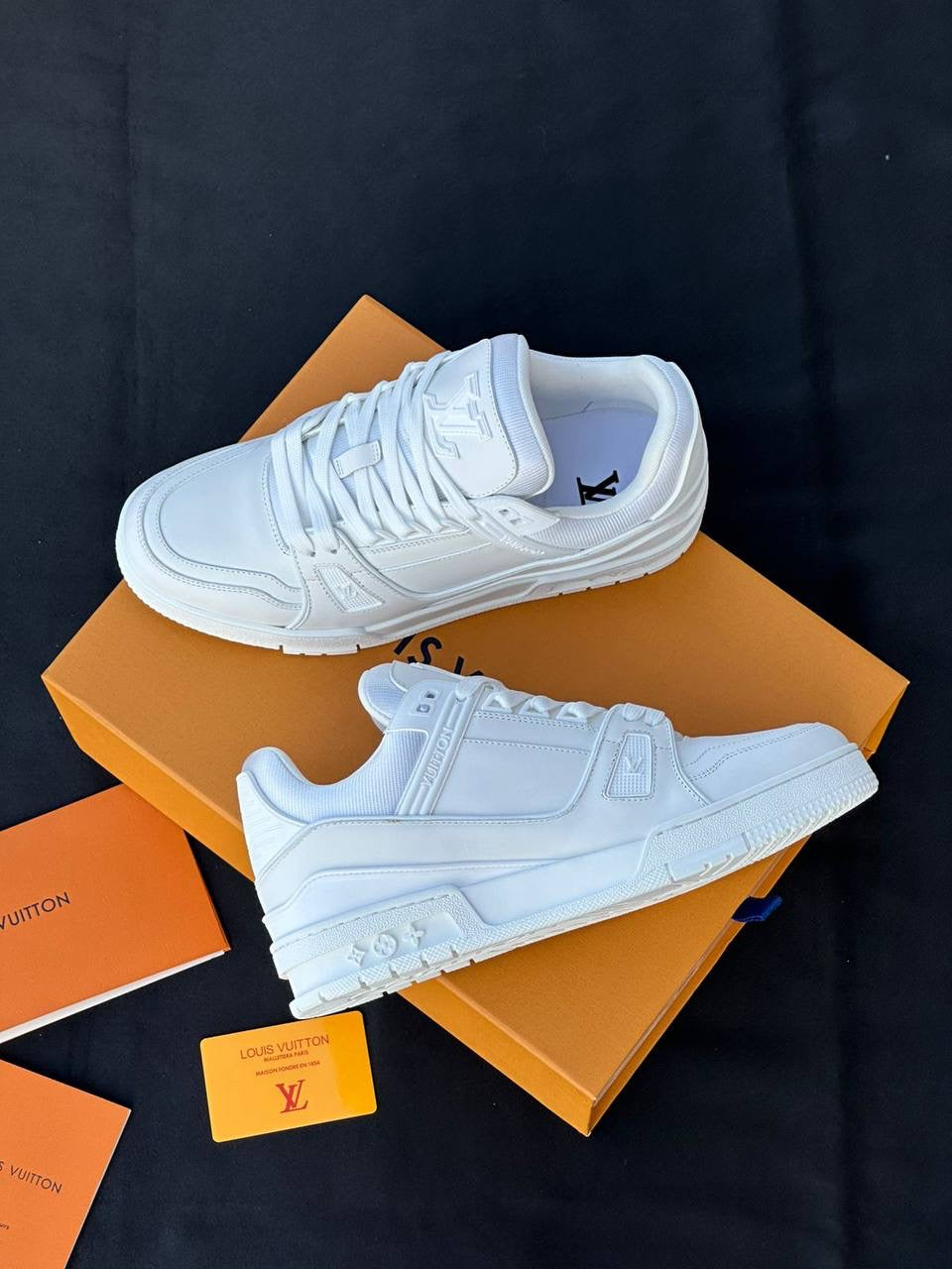 Louis Vuitton Sneakers