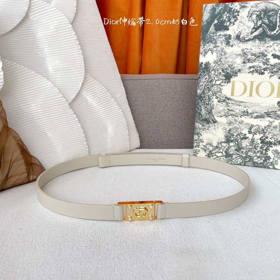 Dior Belts 4 colors