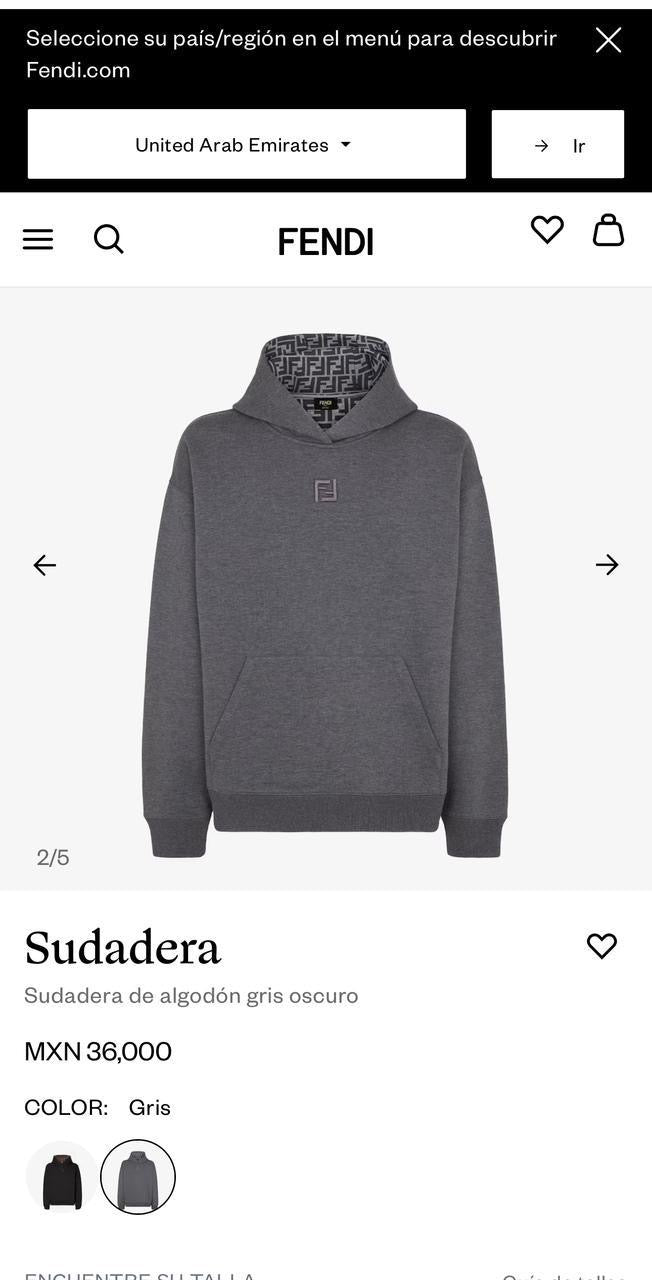 Fendi Hoodie