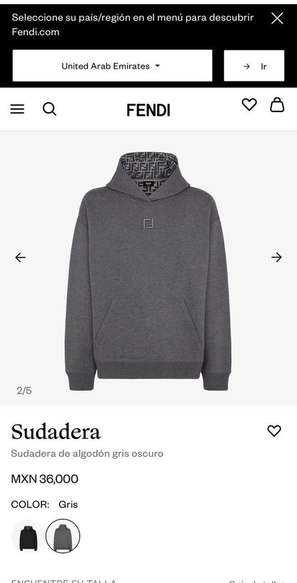 Fendi Hoodie