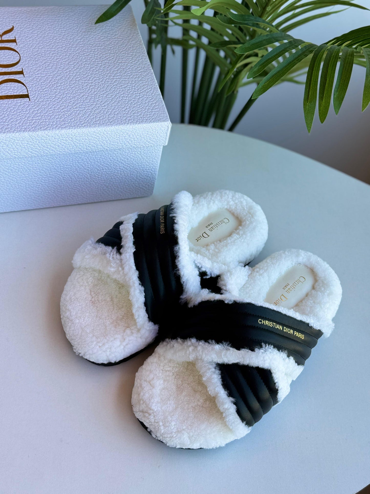 Dior Slipper